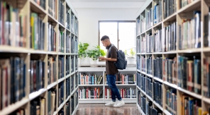 Vers quelles études supérieures se tourner après le bac ?