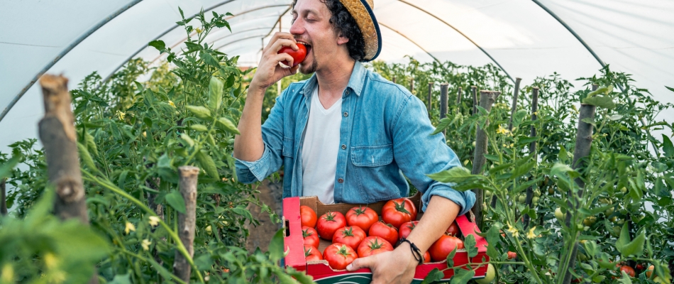 Le goût des fruits et légumes, ça se cultive - Minizap Nord-Isère