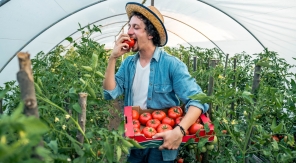 Le goût des fruits et légumes, ça se cultive