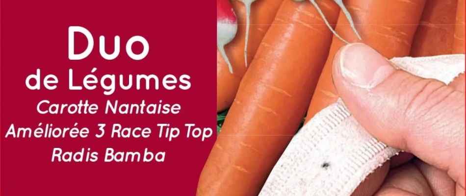 Un semis simple comme bonjour - Minizap Pays Voironnais