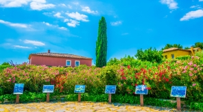 Aix-en-Provence sous le pinceau de Cézanne