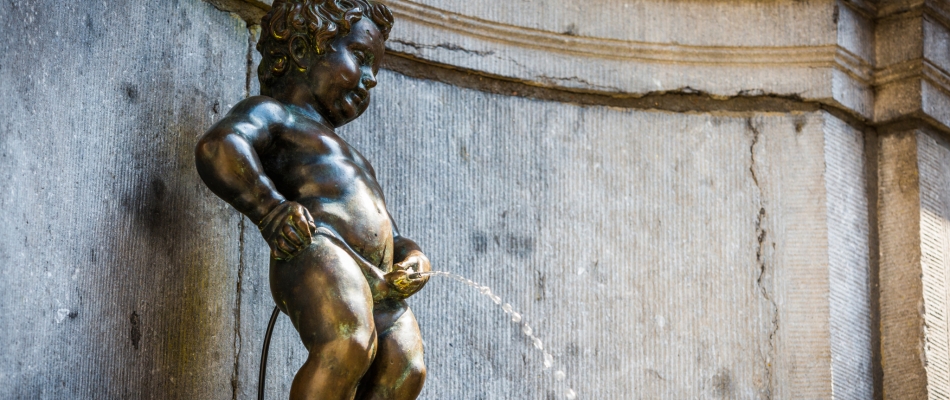 Utiliser l'urine en guise d'engrais - Minizap Grenoble