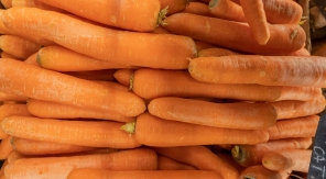 La carotte primeur, la star de nos tablées estivales