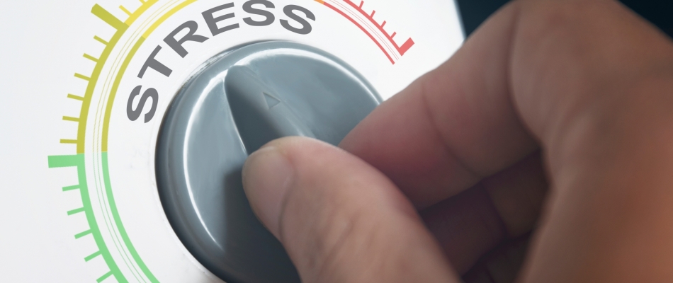 Le cortisol, l'hormone aux nombreux clichés - Minizap Pays Voironnais