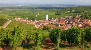 Sur la route des vins d'Alsace