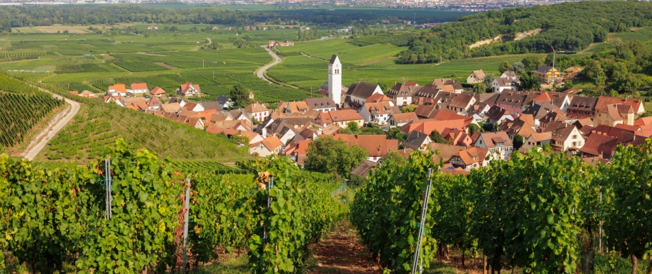 Sur la route des vins d'Alsace - Minizap Vallée de l'Arve