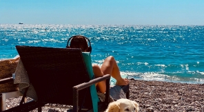 Les villes pet-friendly en PACA