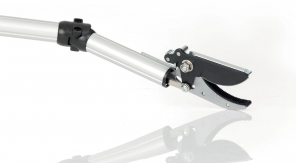 Aux petits soins pour le bassin