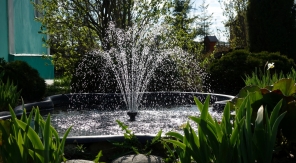 Créer un vrai coin de fraîcheur naturelle dans le jardin