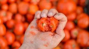 La fête du ketchup