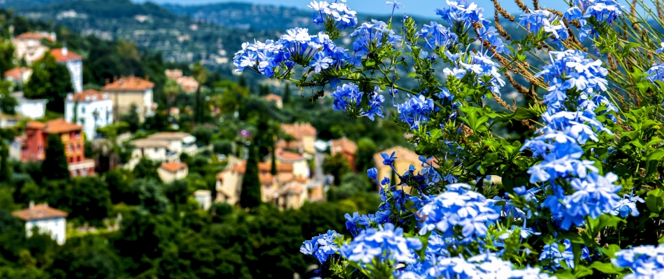 L'art du parfum à Grasse - Minizap Chambery