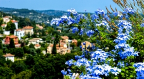 L'art du parfum à Grasse