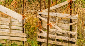 Enterrer le bois de palette
