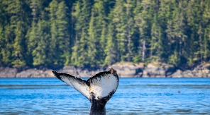 Sous le charme de l'île de Vancouver
