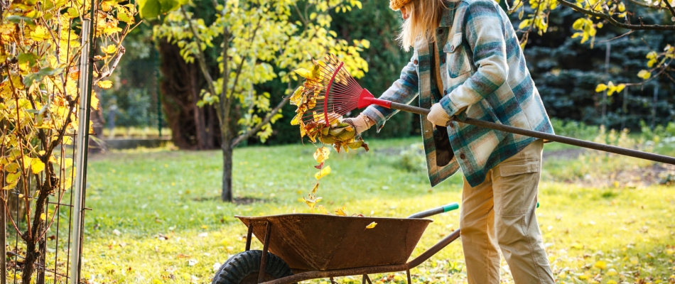 Engrais d'automne : vos plantes ne sont pas prêtes à avaler n'importe quoi ! - Minizap Grenoble