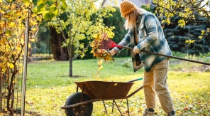 Engrais d'automne : vos plantes ne sont pas prêtes à avaler n'importe quoi !