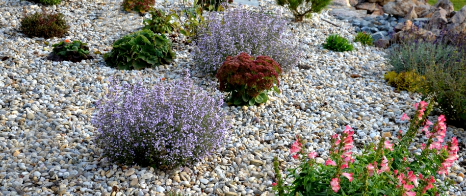 Arroser le jardin sec en automne - Minizap Grenoble