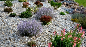 Arroser le jardin sec en automne