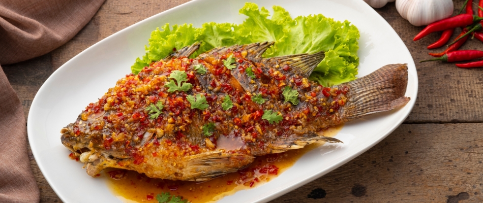 Le tilapia, un succès mondial - Minizap Chambery