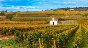 Virée automnale et viticole à Beaune