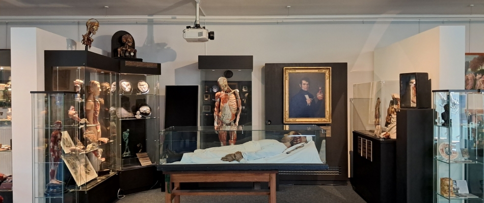 Le Musée de la Médecine à Bruxelles - Minizap Annecy