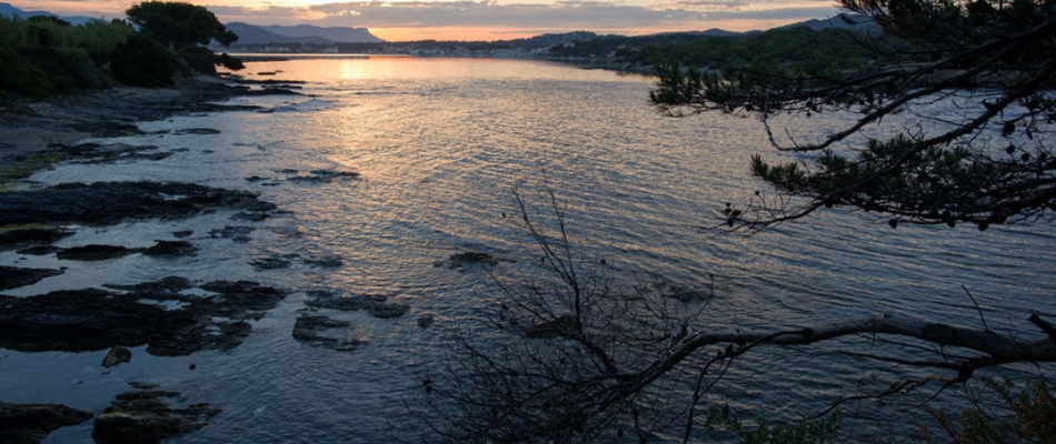 Les plus belles plages de l'île des Embiez - Minizap Nord-Isère