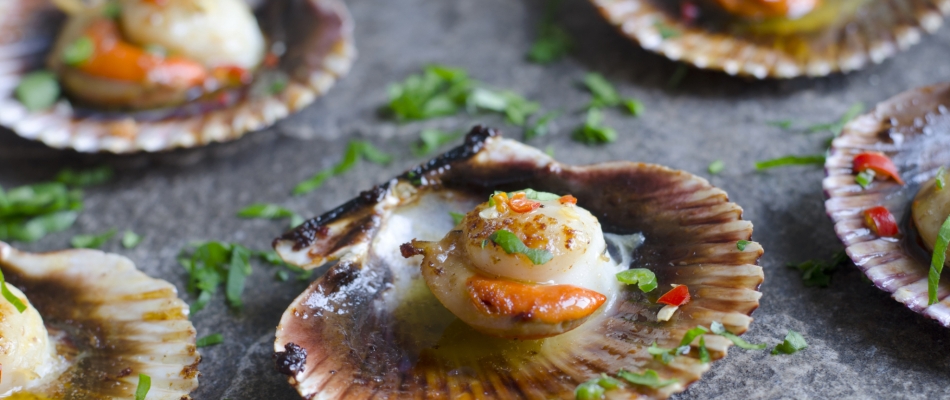 Coquille Saint-Jacques, la guerre des genres - Minizap Chambery