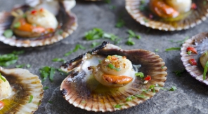 Coquille Saint-Jacques, la guerre des genres
