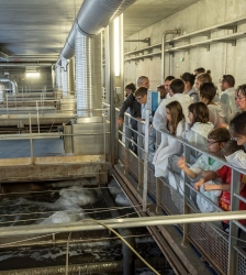 Visite guid&eacute;e : Usine de d&eacute;pollution des eaux us&eacute;es - Journ&eacute;es Europ&eacute;ennes du Patrimoine 2026