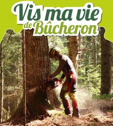 Vis ma vie de B&ucirc;cheron - massif de Belledonne