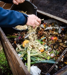 Atelier : Initiation au compostage