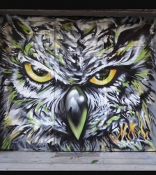 Un zoo sur les murs Street art