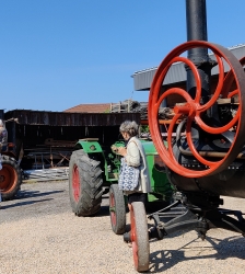 Exposition : matériels anciens et tracteurs + Animaux de la ferme