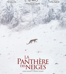 Cinéma plein air : La Panthère des neiges