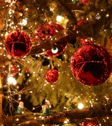 March&eacute; de No&euml;l de la F&eacute;claz