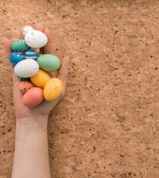 Chasse aux oeufs