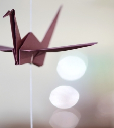 Exposition d'origami