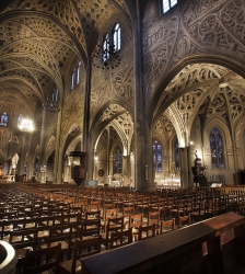 Visite guidée : Flash cathédrale
