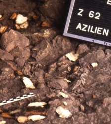 Journées européennes de l’archéologie - (En)quête de Préhistoire . Sur les traces des derniers chasseurs-cueilleurs -Causerie scientifique