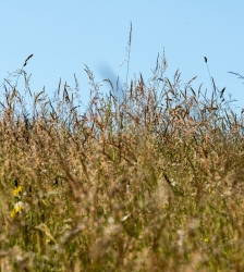 Prenez la cl&eacute; des champs, bienvenue dans nos fermes !