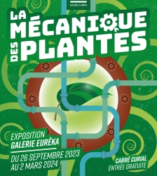 Exposition : La mécanique des plantes