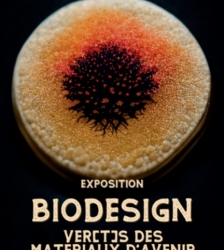Exposition temporaire "Biodesign" ver(t)s des matériaux d'avenir