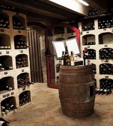 Visite et d&eacute;gustation de vin au chai du ch&acirc;teau des Comtes de Challes