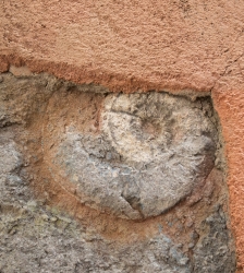 Midi-visite Grenoble il y a 120 millions d&rsquo;ann&eacute;es !