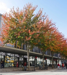 Le coin des enfants: Concours d'architectes