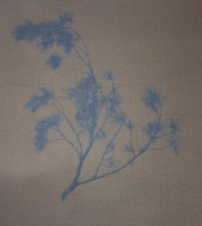 Atelier d'impression avec des pigments végétaux