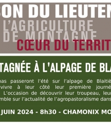 Emmontagnée à l'Alpage de Blaitière
