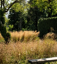 Yoga dans le jardin du musée