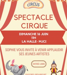 Spectacle de Cirque