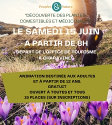 Randonnée printanière